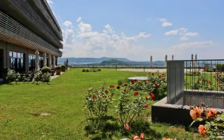 Dachgarten mit Rasen und Rosen