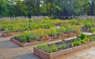 Dachterrasse mit Holzbelag und Pflanzbeeten