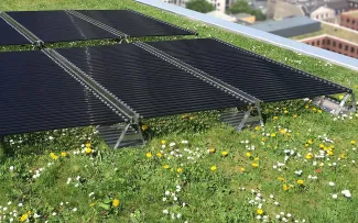 Gründach mit Photovoltaik