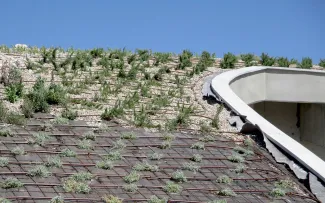 Bewässerungsleitungen und neu gepflanzte Vegetation auf einem Schrägdach