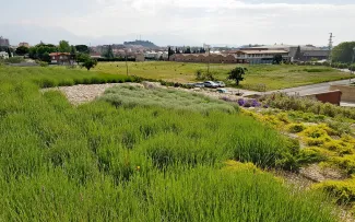 Begrüntes Dach mit Blick in die Landschaft