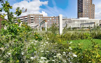 Obstbaum und Wiesenblumen vor Häuserkomplex