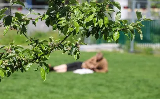 Person liegt auf einer Grasfläche