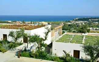 Begrünte Dachflächen, umgeben von Olivenbäumen