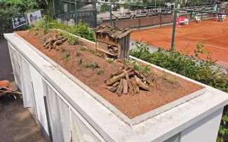 Substrat, Totholz, Jungpflanzen und ein Insektenhotel auf einem Dach