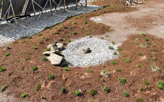 Substrat mit Kleinballenpflanzen