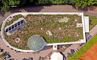Neu bepflanztes Gründach mit Solaranlage von oben