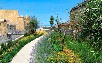 Mediterraner Dachgarten mit Weg