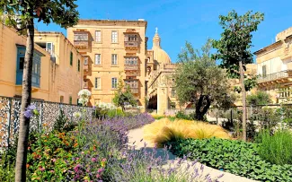 Dachgarten mit Lavendel, Stauden und Olivenbäumen