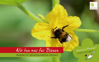 „Deutschland summt! Wir tun was für Bienen“ Broschüre