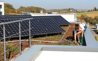 Person mit Fallnet® SB 200-Rail auf einem Gründach mit Photovoltaik