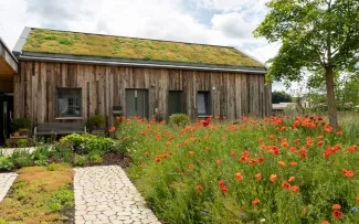 Holzhaus mit begrüntem Schrägdach