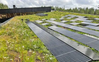 Die regionaltypische Biodiversität wird ebenfalls durch die Kultivierung von 20.000 Stecklingen erzielt, die man eigens in der Umgebung sammelte. © MATTAK AS Gründach mit Solaranlage