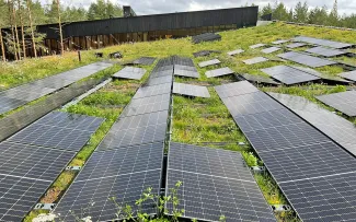 Biodiversität plus Solar ist eine wertvolle Kombination mit vielen Synergieeffekten. © MATTAK AS Gründach mit Solaranlage