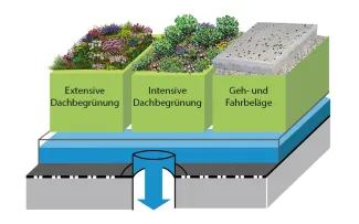 Grafik Varianten Retentions-Gründach