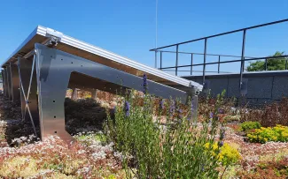 Dieser Natternkopf gehört zur Pflanzengemeinschaft „Bienenweide“ und ist als Futterpflanze sehr begehrt. Gründach mit Sedum, Natterkopf, Solar und Geländer