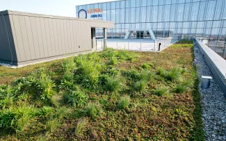 Die Dächer bieten eine artenreiche Bepflanzung. Begrünte Dachfläche