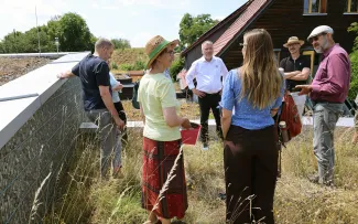 Ein Rückschnitt der hochwachsenden Gräser wäre hier empfohlen, um vorhandenen Kräutern wieder mehr Licht und Raum zu geben. Gruppe von Personen auf Dachgarten
