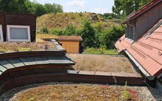 Der Blick über die verschiedenen Gründachflächen reicht bis in den Steinbruch, wo gerade Ziegen die Landschaftspflege übernehmen. Dachbegrünung