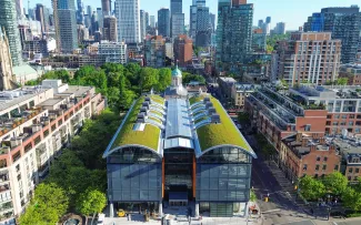 Begrüntes Tonnendach in der Großstadt