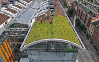 Arbeiter begrünen ein Tonnendach mit Vegetationsmatten