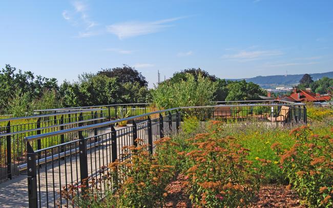 Mediterran begrünter Dachgarten mit Terrassenbereich und Bänken
