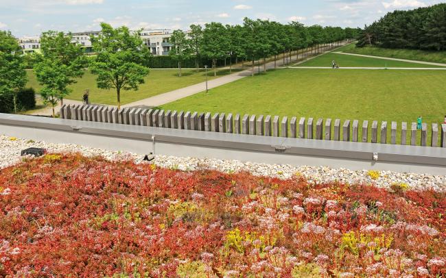 Extensiv begrüntes Dach in grüner Landschaft mit Wald und Wiesen