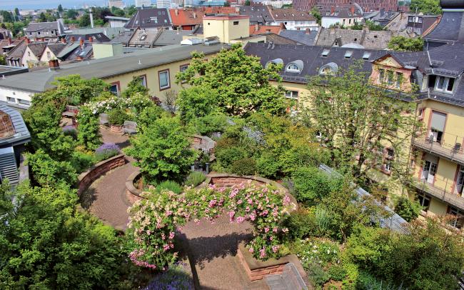 Bird's eye view onto the roof garden 