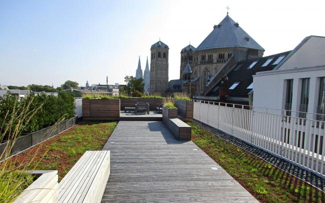 Dachterrasse mit Sitzmöbeln, Holzbelag und Substrat mit Pflanzung