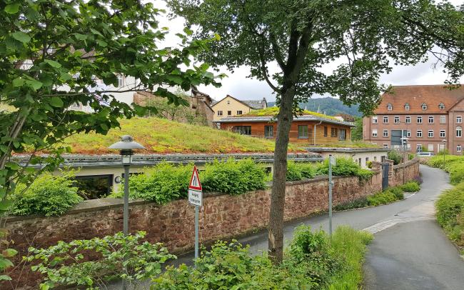 Begrüntes Schrägdach vor einer Steinmauer