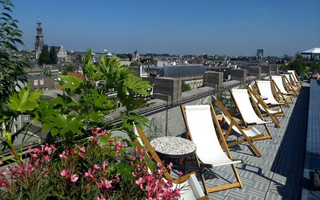 Dachterrasse mit Bepflanzung und Liegestühlen