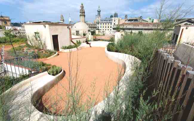 Mediterraner Dachgarten in historischer Kulisse