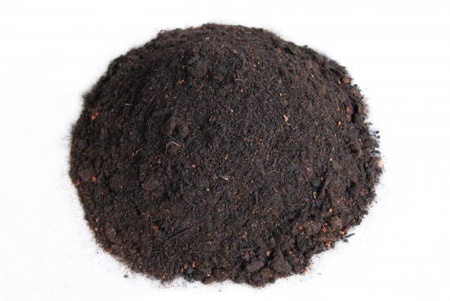 Zincohum Zincohum