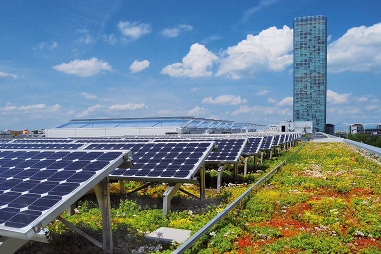 Dachbegrünung mit Solaranlage